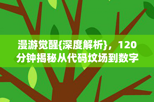 漫游觉醒{深度解析},120分钟揭秘从代码坟场到数字神迹 漫游觉醒{深度解析},120分钟揭秘从代码坟场到数字神迹