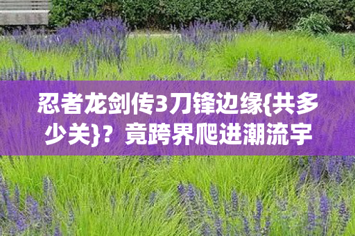 忍者龙剑传3刀锋边缘图片