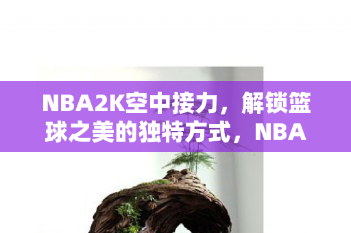 NBA2K空中接力，解锁篮球之美的独特方式，NBA2K，解锁空中接力，领略篮球之美的独特方式