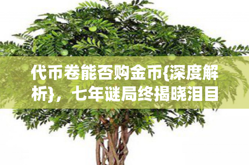 七年谜局终揭晓泪目了图片