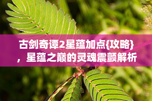 古剑奇谭2星蕴加点{攻略}，星蕴之巅的灵魂震颤解析