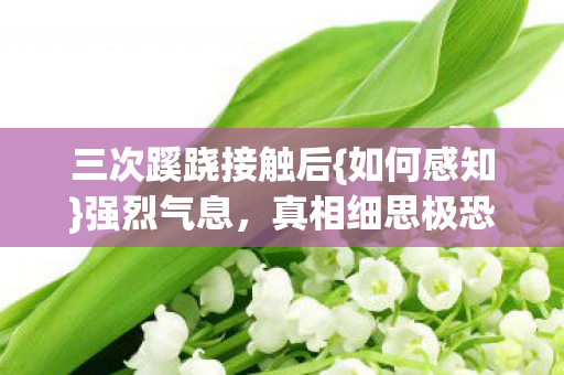 三次蹊跷接触后图片