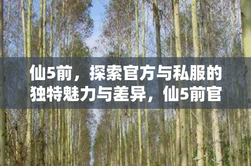 仙5前,探索官方与私服的独特魅力与差异,仙5前官方与私服,独特魅力与差异探索 仙5前,探索官方与私服的独特魅力与差异,仙5前官方与私服,独特魅力与差异探索