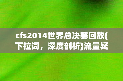 cfs2014世界总决赛回放图片