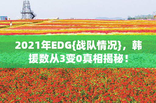韩援数从3变0真相揭秘图片