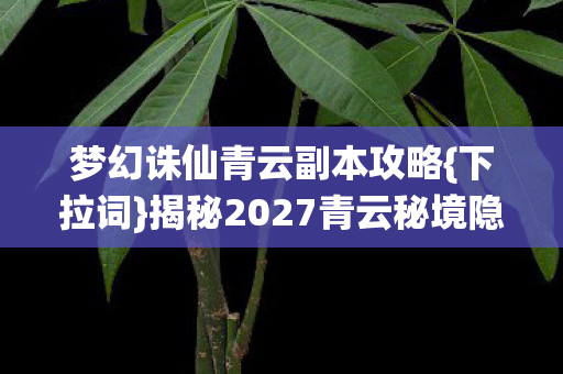 梦幻诛仙青云副本攻略{下拉词}揭秘2027青云秘境隐藏玩法
