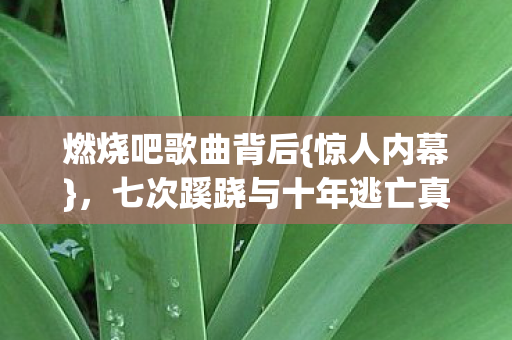 七次蹊跷与十年逃亡真相图片