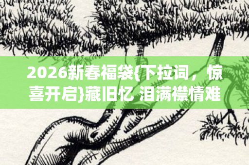 2026新春福袋{下拉词,惊喜开启}藏旧忆 泪满襟情难抑 2026新春福袋{下拉词,惊喜开启}藏旧忆 泪满襟情难抑