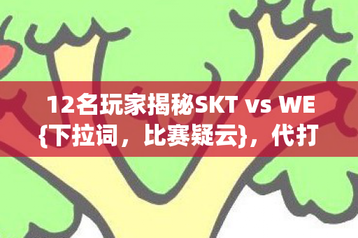 12名玩家揭秘SKT vs WE{下拉词,比赛疑云},代打传闻引热议 12名玩家揭秘SKT vs WE{下拉词,比赛疑云},代打传闻引热议