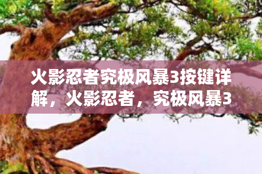 火影忍者究极风暴3按键详解，火影忍者，究极风暴3按键操作指南
