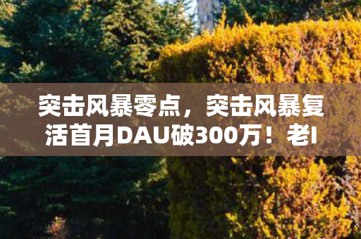 突击风暴零点，突击风暴复活首月DAU破300万！老IP的数据核爆如何撕开FPS市场新缺口？