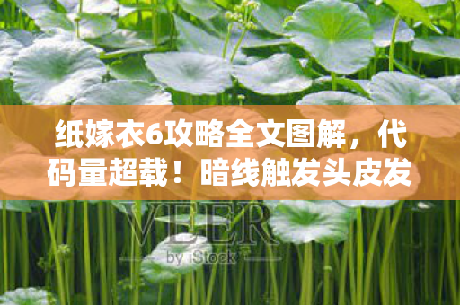 纸嫁衣6攻略全文图解,代码量超载!暗线触发头皮发麻的赛博冥婚系统 纸嫁衣6攻略全文图解,代码量超载!暗线触发头皮发麻的赛博冥婚系统
