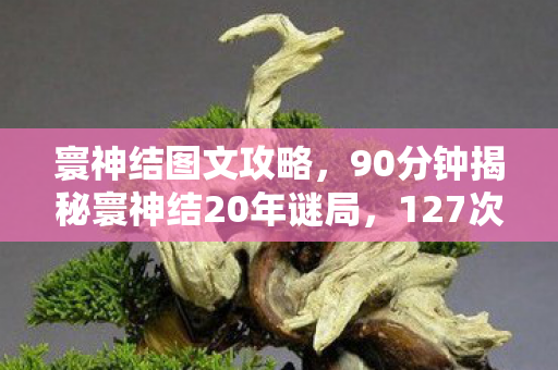 寰神结图文攻略，90分钟揭秘寰神结20年谜局，127次死亡记录，泪目真相终现