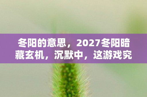 2027冬阳暗藏玄机图片