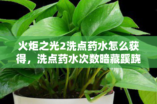 火炬之光2洗点药水怎么获得图片