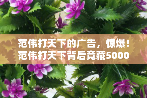 范伟打天下背后竟藏5000万隐情图片