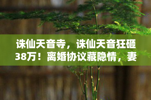 诛仙天音寺,诛仙天音狂砸38万!离婚协议藏隐情,妻子这一招让我吓一跳! 诛仙天音寺,诛仙天音狂砸38万!离婚协议藏隐情,妻子这一招让我吓一跳!