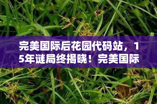 完美国际后花园代码站，15年谜局终揭晓！完美国际后花园，百万玩家死亡时间线泪目