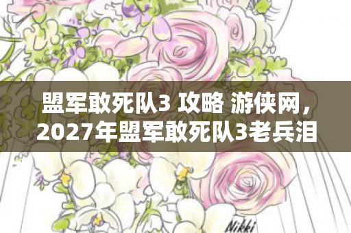 2027年盟军敢死队3老兵泪目图片