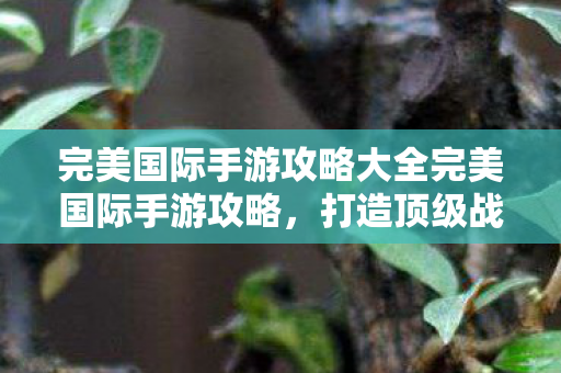 完美国际手游攻略大全完美国际手游攻略,打造顶级战力,征服虚拟世界,完美国际手游攻略大全,打造顶级战力,征服虚拟世界 完美国际手游攻略大全完美国际手游攻略,打造顶级战力,征服虚拟世界,完美国际手游攻略大全,打造顶级战力,征服虚拟世界