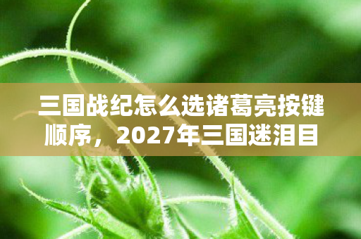 三国战纪怎么选诸葛亮按键顺序，2027年三国迷泪目！3大平台选诸葛竟藏着这些身份之痛？