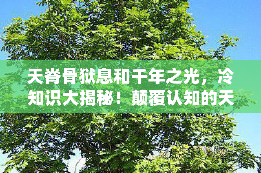 天脊骨狱息和千年之光，冷知识大揭秘！颠覆认知的天脊骨狱息设计，让你目瞪口呆！