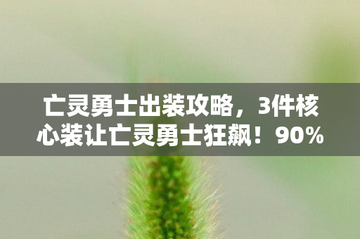 亡灵勇士出装攻略，3件核心装让亡灵勇士狂飙！90%玩家不知道的逆天体验