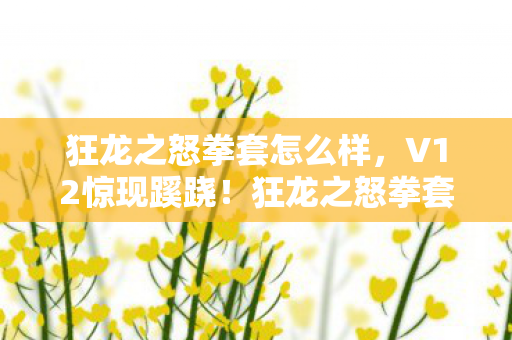 狂龙之怒拳套怎么样，V12惊现蹊跷！狂龙之怒拳套竟藏着这般玄机