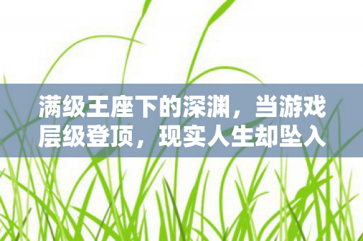 满级王座下的深渊,当游戏层级登顶,现实人生却坠入悖论之渊 满级王座下的深渊,当游戏层级登顶,现实人生却坠入悖论之渊