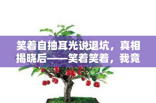 笑着自抽耳光说退坑,真相揭晓后——笑着笑着,我竟哭了 笑着自抽耳光说退坑,真相揭晓后——笑着笑着,我竟哭了