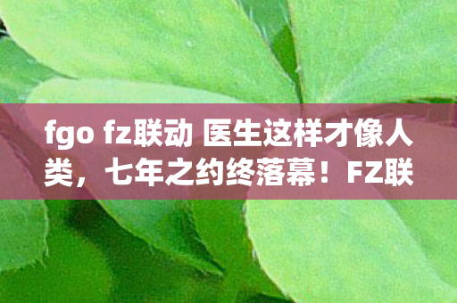 fgo fz联动 医生这样才像人类,七年之约终落幕!FZ联动谜题未解,泪目见证FGO关服时刻 fgo fz联动 医生这样才像人类,七年之约终落幕!FZ联动谜题未解,泪目见证FGO关服时刻