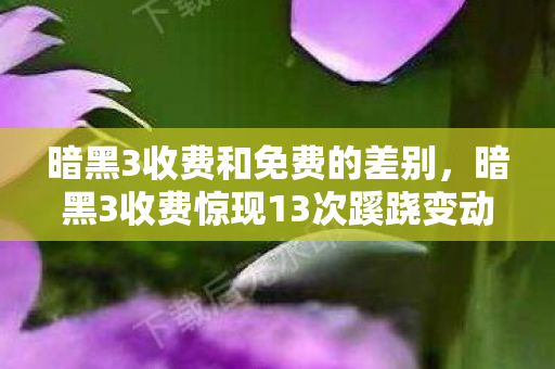 暗黑3收费和免费的差别，暗黑3收费惊现13次蹊跷变动，真相揭晓后背发凉！