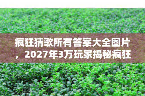 2027年3万玩家揭秘疯狂猜歌图片