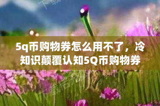 5q币购物券怎么用不了，冷知识颠覆认知5Q币购物券竟藏着目瞪口呆的隐藏规则！