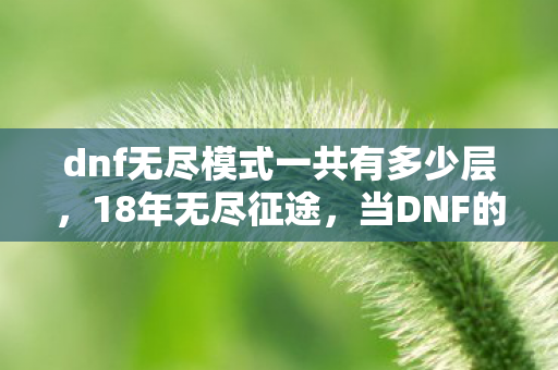 dnf无尽模式一共有多少层，18年无尽征途，当DNF的深渊回响撞碎次元壁，泪目真相竟藏于此