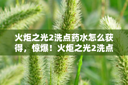火炬之光2洗点药水竟藏3大未解之谜图片