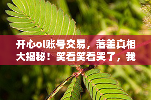 开心ol账号交易，落差真相大揭秘！笑着笑着哭了，我竟又偷偷上线开心ol