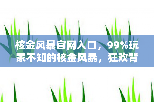核金风暴官网入口,99%玩家不知的核金风暴,狂欢背后,谁在透支最后的热血? 核金风暴官网入口,99%玩家不知的核金风暴,狂欢背后,谁在透支最后的热血?