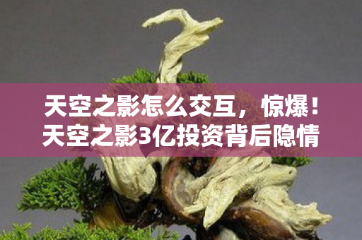天空之影怎么交互,惊爆!天空之影3亿投资背后隐情,砍玩法时众人吓一跳! 天空之影怎么交互,惊爆!天空之影3亿投资背后隐情,砍玩法时众人吓一跳!