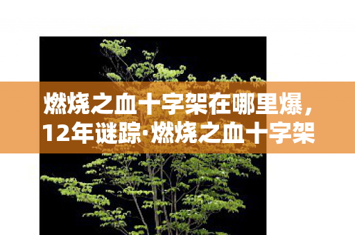 燃烧之血十字架在哪里爆,12年谜踪·燃烧之血十字架,当信仰成为代码,谁在守护最后的泪目真相? 燃烧之血十字架在哪里爆,12年谜踪·燃烧之血十字架,当信仰成为代码,谁在守护最后的泪目真相?