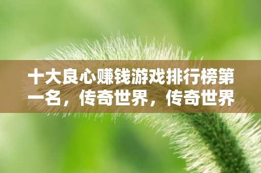 十大良心赚钱游戏排行榜第一名，传奇世界，传奇世界，十大良心赚钱游戏排行榜之首