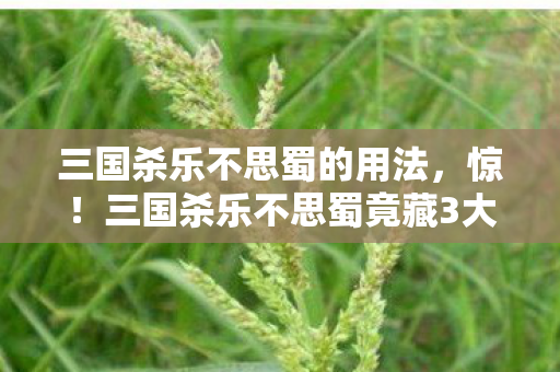 三国杀乐不思蜀的用法，惊！三国杀乐不思蜀竟藏3大逆天玄机，你中招了吗？