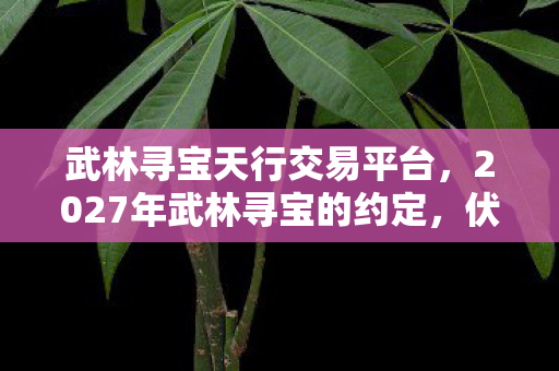 武林寻宝天行交易平台，2027年武林寻宝的约定，伏笔藏了十年，如今想起鼻子一酸