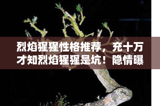 烈焰猩猩性格推荐,充十万才知烈焰猩猩是坑!隐情曝光,这操作真让人吓一跳! 烈焰猩猩性格推荐,充十万才知烈焰猩猩是坑!隐情曝光,这操作真让人吓一跳!