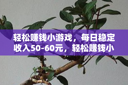 轻松赚钱小游戏，每日稳定收入50-60元，轻松赚钱小游戏，每日稳定收入50-60元，轻松实现财富自由
