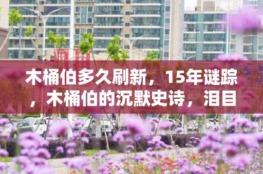 木桶伯的沉默史诗图片
