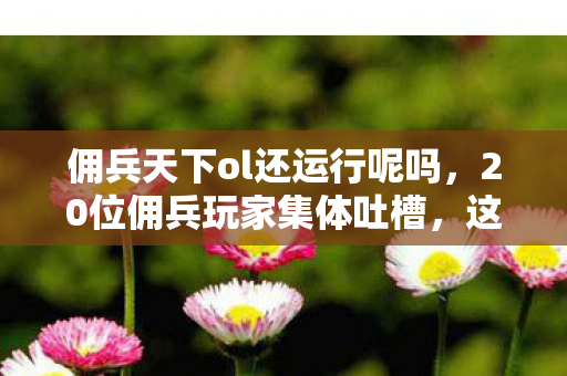 佣兵天下ol还运行呢吗，20位佣兵玩家集体吐槽，这疑点让老鸟萌新全绷不住，你中招没？