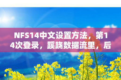 NFS14中文设置方法图片