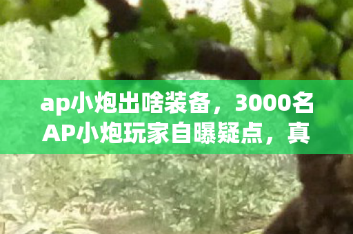 ap小炮出啥装备，3000名AP小炮玩家自曝疑点，真相揭晓时网友集体绷不住了！