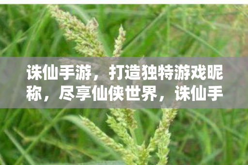 诛仙手游，打造独特游戏昵称，尽享仙侠世界，诛仙手游，打造独特昵称，畅游仙侠世界